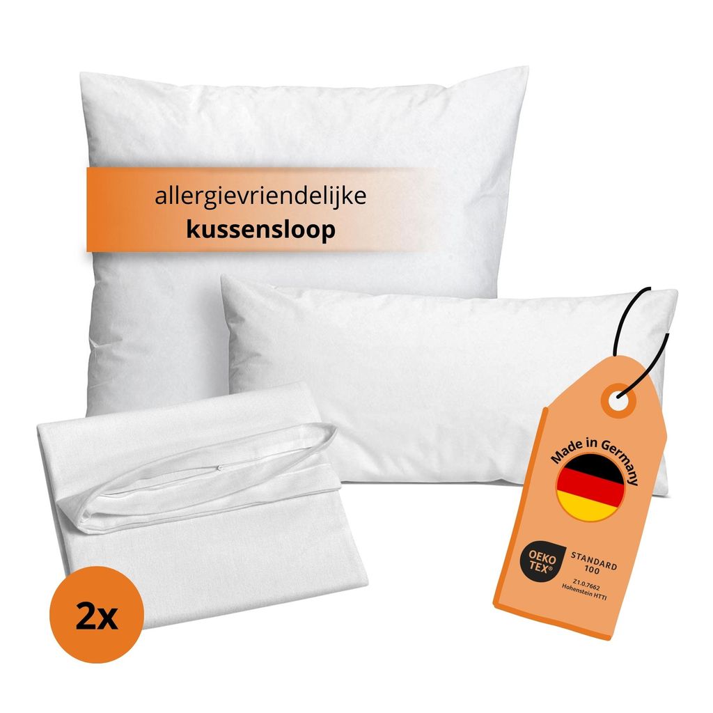 Set van 2 Evolon-kussenslopen 80 x 80 cm, kussenbeschermers Productafbeelding 