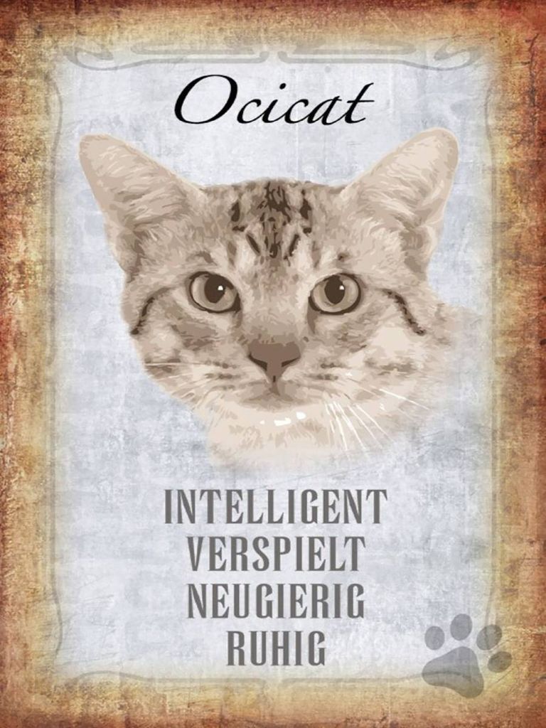 vianmo Holzschild 40x30 cm Ocicat Katze verspielt