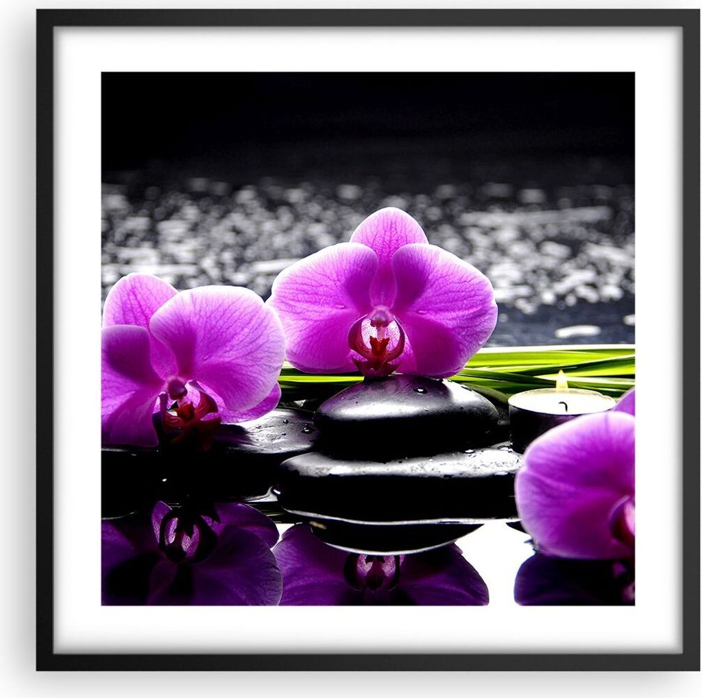 Gerahmtes Poster - Schwarzer Rahmen - Orchidee Natur Wasser Blume - 50x50 cm - Wand Bild - Wanddeko - Wandbilder - Wandposter - Bilderrahmen - Bild...