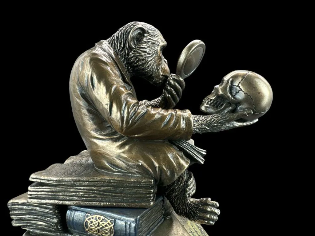 Coffret Évolution du chimpanzé WU76129A4 - Figurine de collection Veronese - 12
