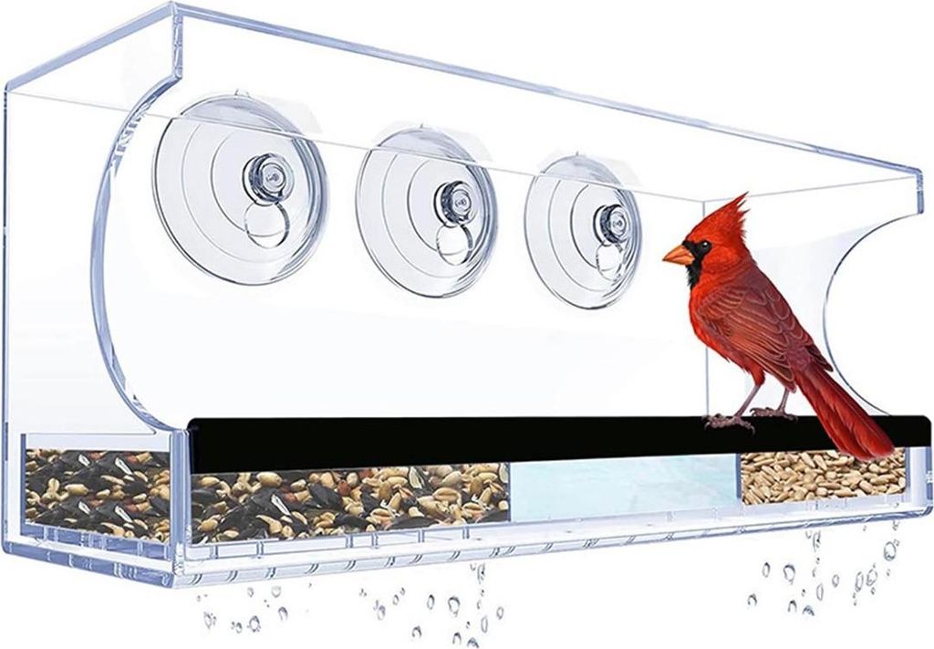 INF Rechteckiges Fenster-Vogelhaus: Kristallklares Acryl mit Saugknöpfen