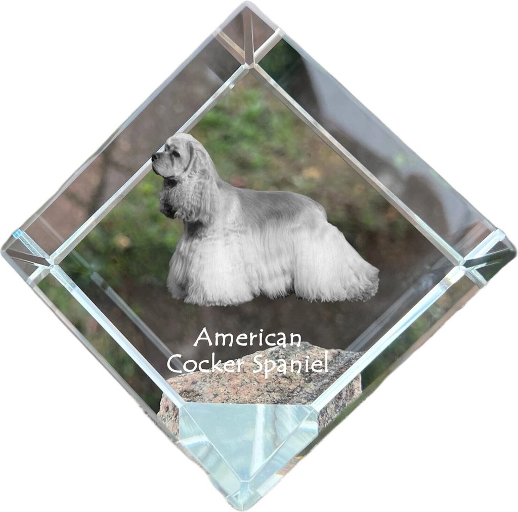 Amerikanischer Cocker Spaniel, American Cocker Spaniel - Kristallwürfel mit Bild, Pferdebild im Kristall, sechseckiger Papierclip der Marke Art-Dog