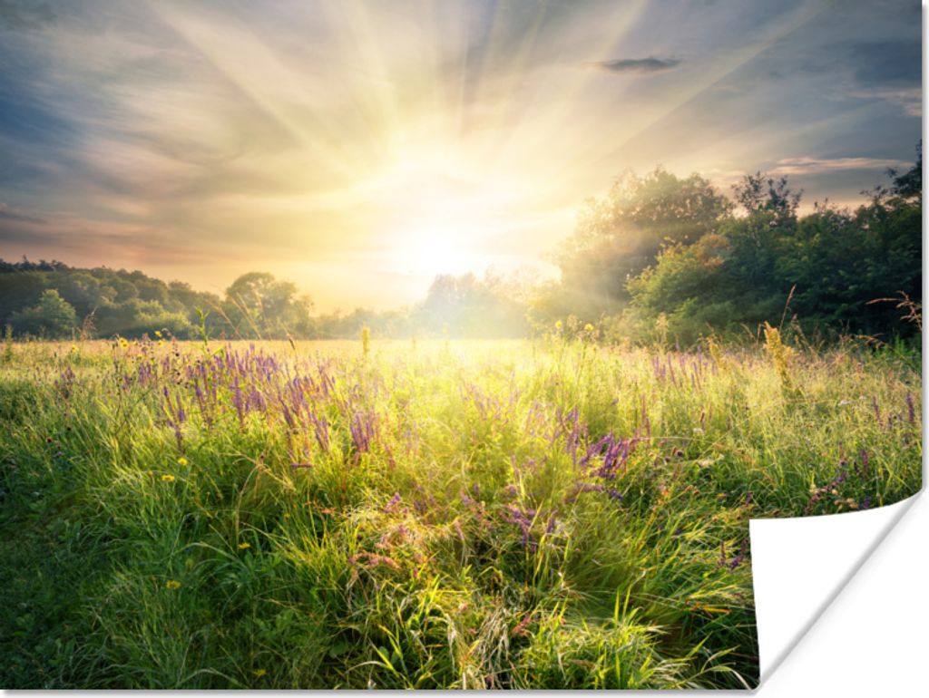 MuchoWow Poster Blumen - Sonne - Frühling 120x90 cm - Wandbild