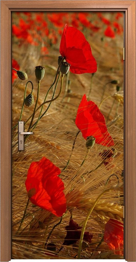 Türposter 90x200 cm Türaufkleber Türtapete Türfolie Klebefolie Pflanzen Blumen Mohn Blumen Felder