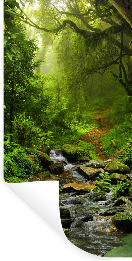MuchoWow Wandtattoo Wandsticker Wandaufkleber Natur - Wasser - Dschungel - Wald - Tropisch 80x160 cm Selbstklebend und Repositionierbar - Sticker...