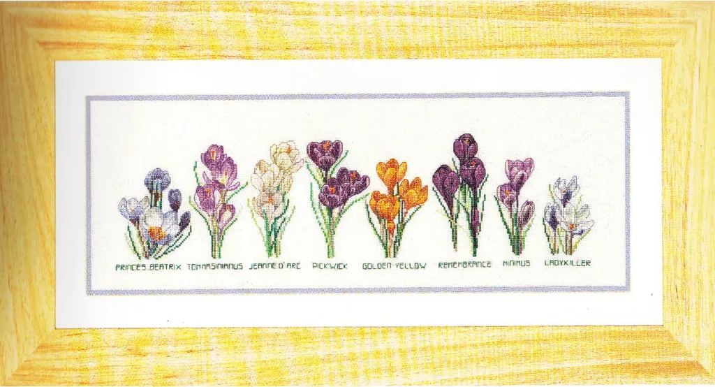 Broderie fleurs de crocus 48x16cm sur toile Aida fine Thea Gouverneur kit