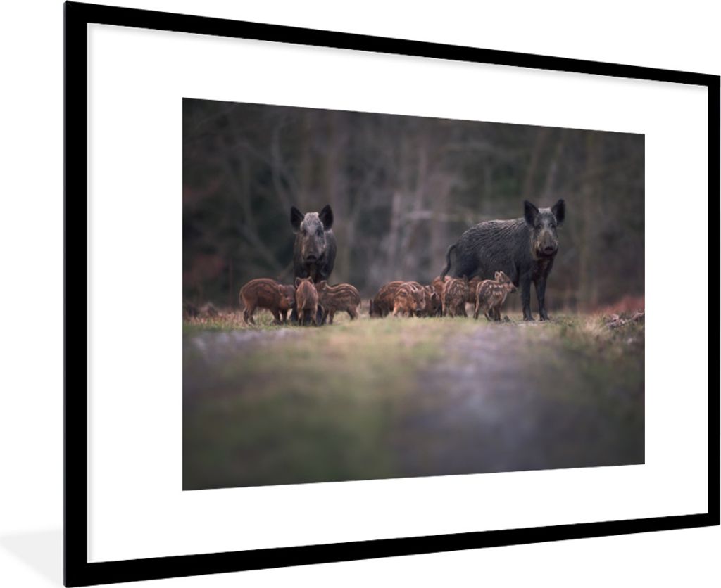 MuchoWow MuchoWow Gerahmtes Poster Tier - Wildschwein - Wald 90x60 cm - Poster mit zchwarzem Bilderrahmen - Wanddekoration - Fotos