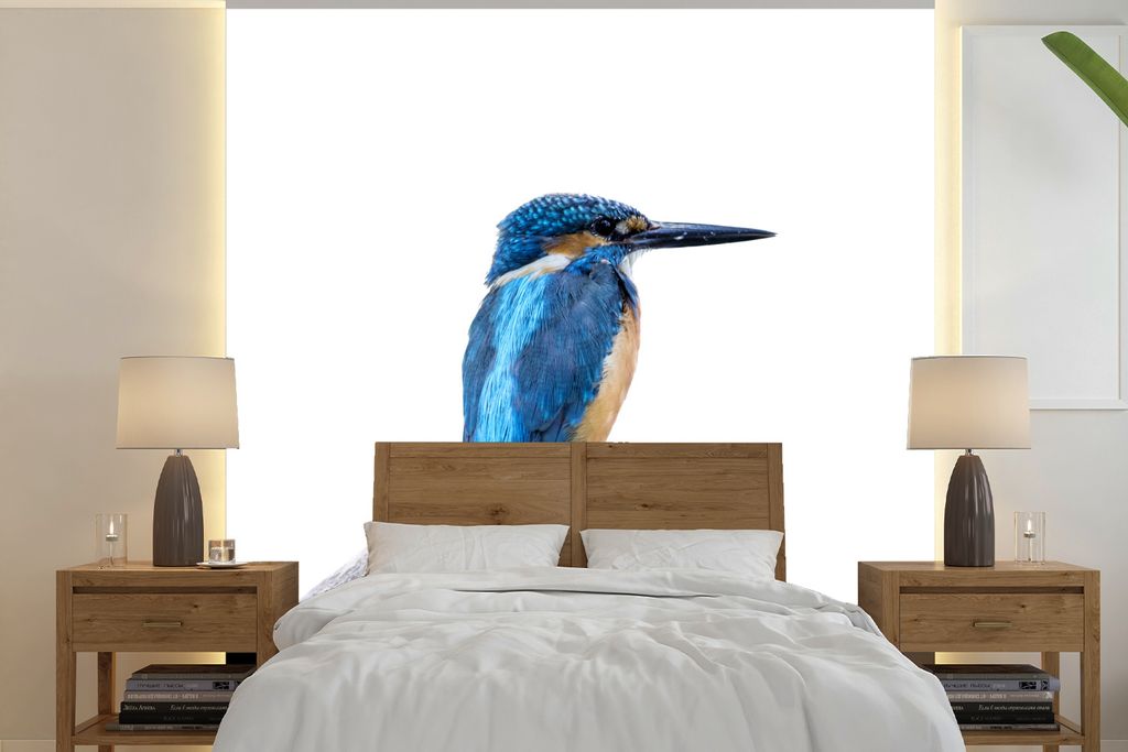 MuchoWow Fototapete für Wohnzimmer oder Schlafzimmer Wandtapete Vinyl Motivtapete Eisvogel - Zweig - Schnabel - 280x280 cm - Hintergrundbild