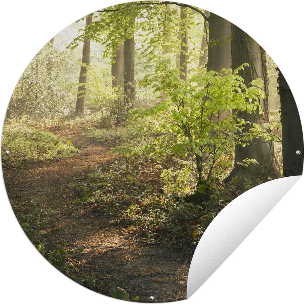 MuchoWow Gartenposter Outdoor-Poster Rund Wald - Bäume - Weg - Sonne - Pflanzen - Laub - Natur Ø 90 cm Gartendeko Rundes Poster draußen