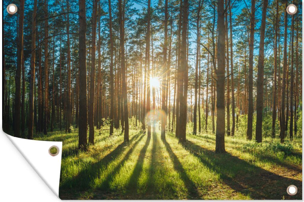 MuchoWow 90x60 cm Outdoor-Poster Gartendeko Sichtschutz Garten Poster für den Garten Sonne - Bäume - Landschaft - Gras