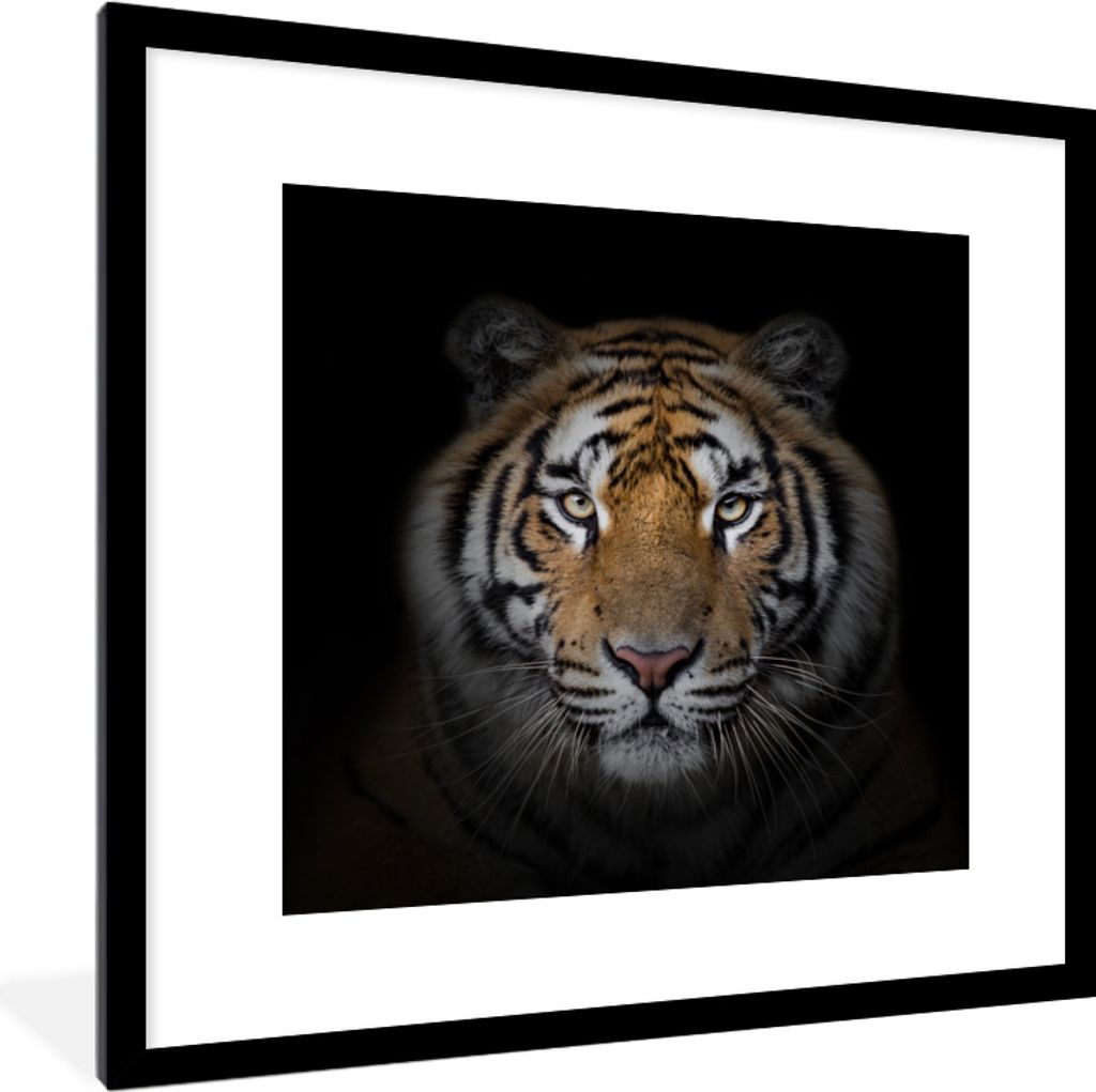 MuchoWow Gerahmtes Poster Tiger - Wildtiere - Porträt - Schwarz - Tiere 40x40 cm - Poster mit Schwarzem Bilderrahmen Wandposter Rahmen Foto Bild...