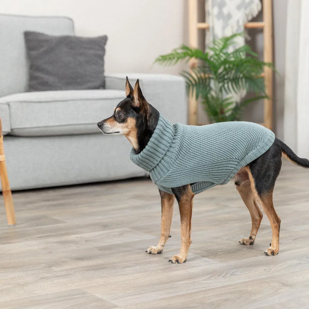 CityStyle Berlino Maglione Salvia: Outfit Pet di Tendenza 2026 - 5