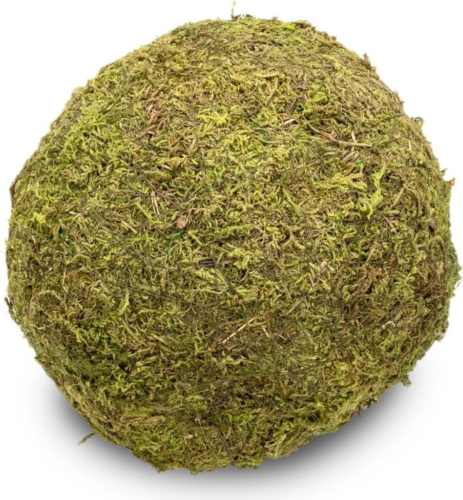 Moos-Ball mit Durchmessern von 8, 10, 15, und 20cm zur Auswahl | Moos-Kugel, Größe:Ø 20 cm