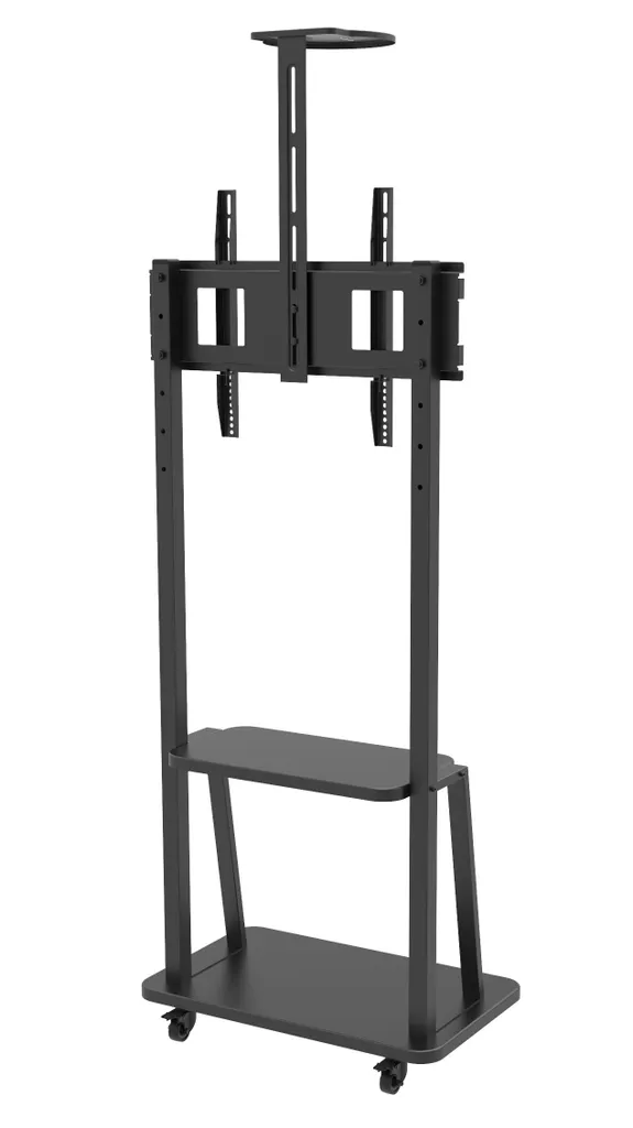 Support écran de signalisation 70" robuste Techly ICA-TR33
