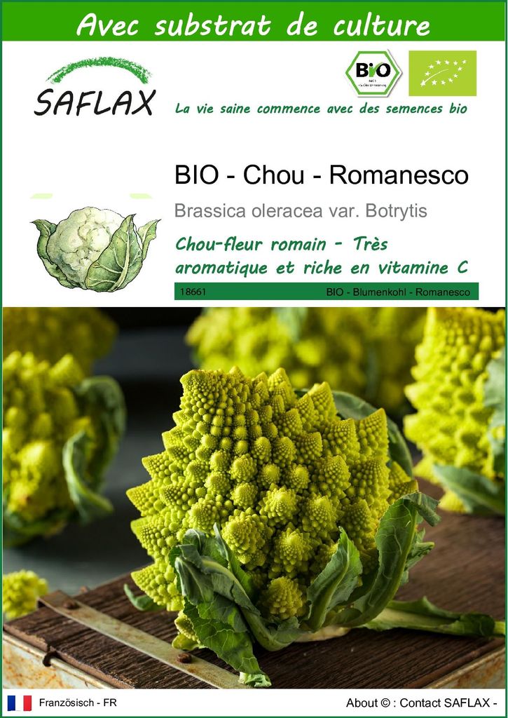 SAFLAX  -- Chou - Romanesco - 50 graines - Avec substrat - Image du produit 