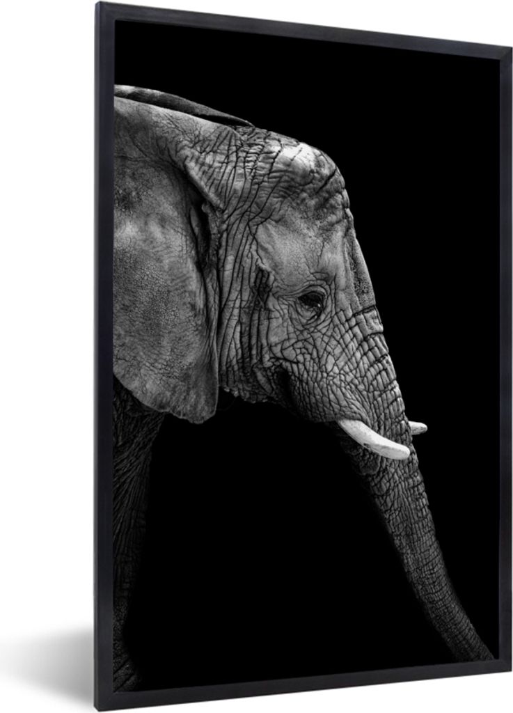 MuchoWow Gerahmtes Poster Elefant - Schwarz und weiß - Porträt - Tiere 20x30 cm - Poster mit Schwarzem Bilderrahmen Wandposter Rahmen Foto Bild...