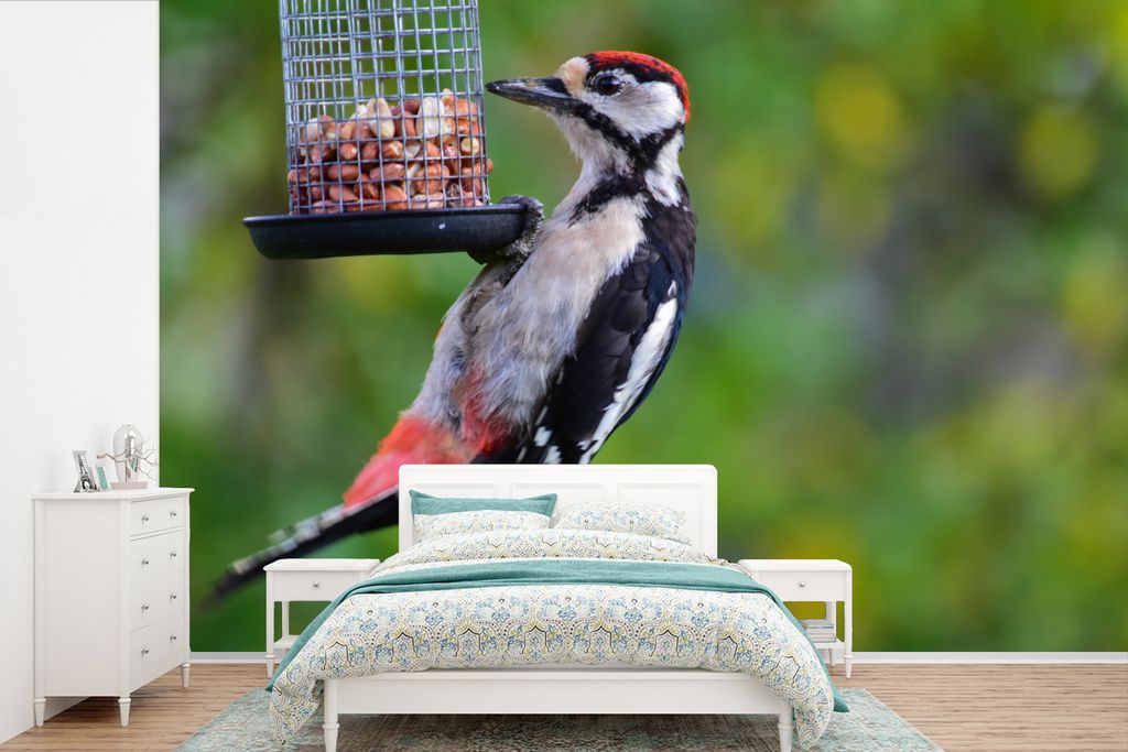 MuchoWow Fototapete für Wohnzimmer oder Schlafzimmer Wandtapete Vinyl Motivtapete Ein Buntspecht beim Fressen - 330x220 cm - Fototapeten