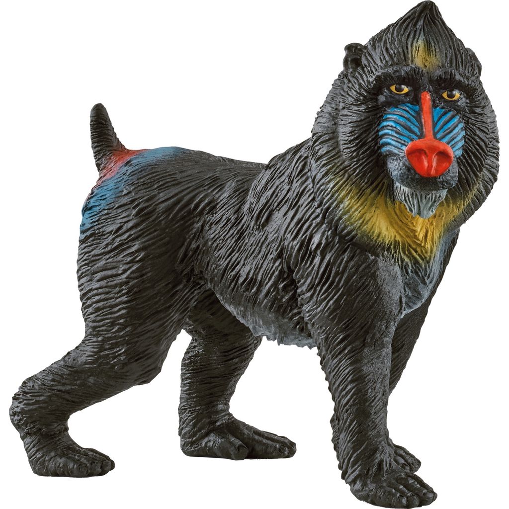 Schleich 14856 - Wild Life, Mandrill, Tierfigur