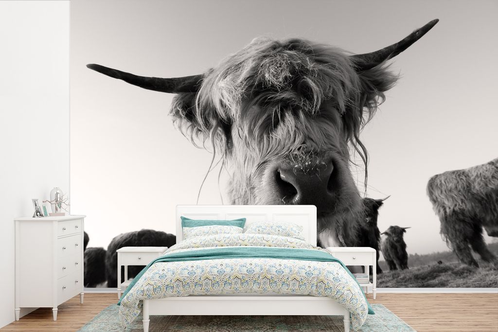 MuchoWow Fototapete für Wohnzimmer oder Schlafzimmer Wandtapete Vinyl Motivtapete Schottischer Highlander - Schwarz - Weiß - Tiere - 330x220 cm...