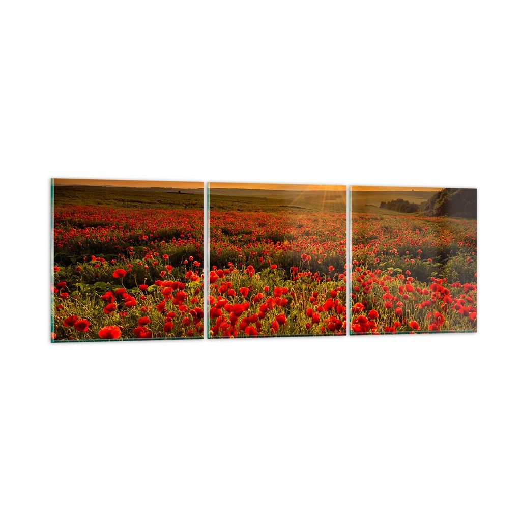 Bilder auf glas - Mohn Blume Wiese - 150x50cm - Glasbilder - Wandbilder - Kunstdruck - zum Aufhängen bereit - Wanddekoration aus Glas - Glas Bilde...