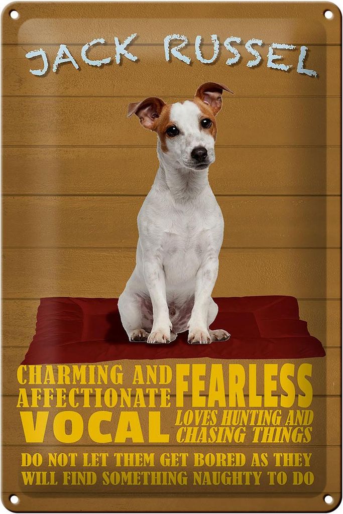 Blechschild Spruch 20x30cm Jack Russel Hund charming Produktbild 