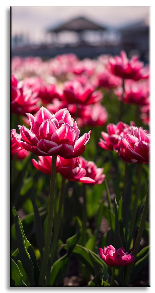 Leinwanddruck Botanik Tulpen Blumen 60x120 Blumenstrauß