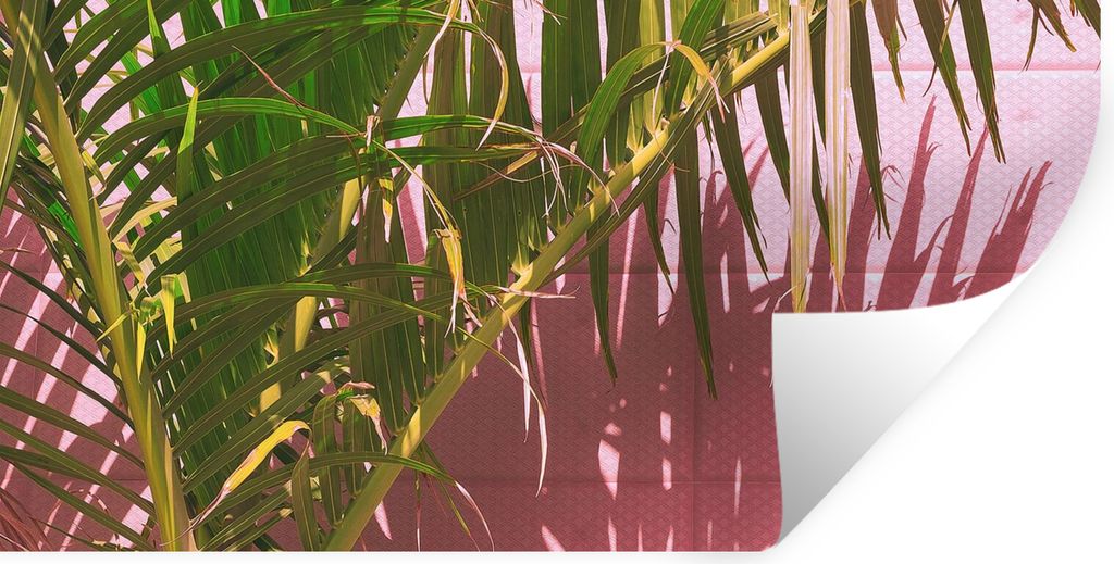 MuchoWow Wandtattoo Wandsticker Wandaufkleber Pflanze - Sommer - Tropisch - Rosa 120x60 cm Selbstklebend und Repositionierbar - Sticker - Dekorfolie