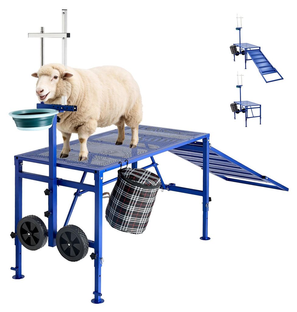 VEVOR, platforma do odławiania kóz, 272 kg, składana Zdjęcie produktu 