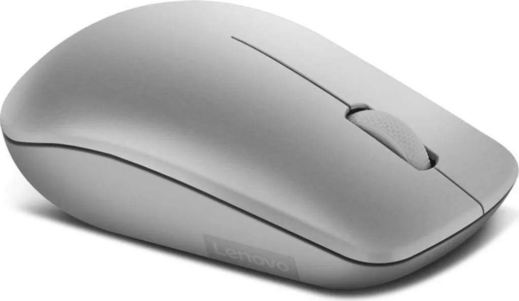Souris Sans Fil Lenovo 530 pour Télétravail et Bureau Platinum Grey USB