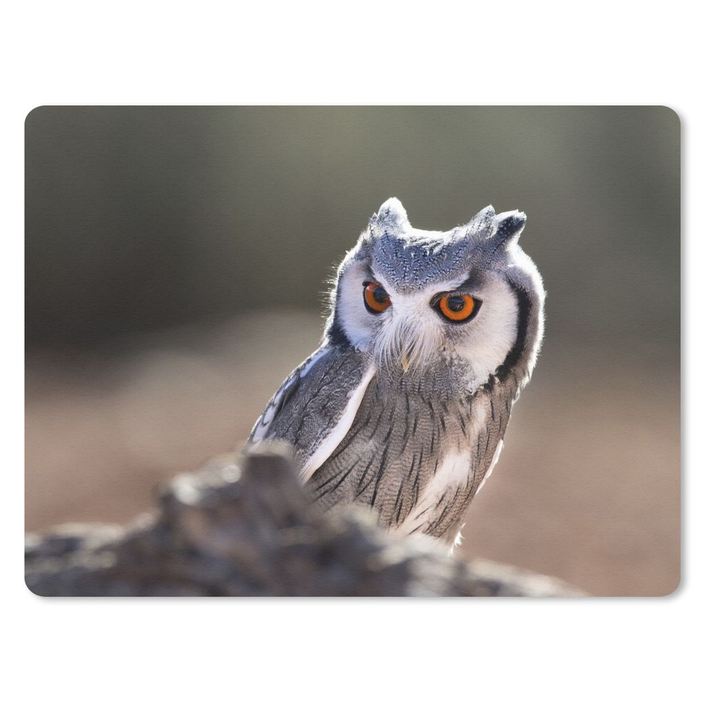 MuchoWow Mauspad Mousepad Eule - Makro - Tier 40x30 cm - Mousepads - Maus Mat - Pad - Mausunterlage - Anti Rutsch