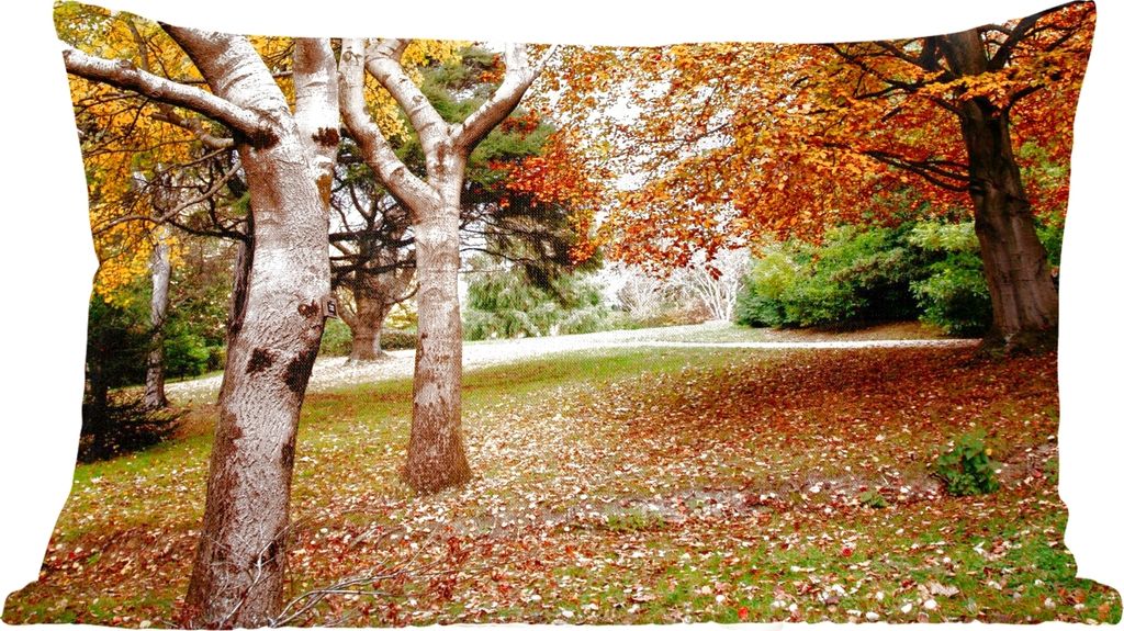 MuchoWow Zierkissen Sofakissen Wohnzimmer Dekokissen 50x30 cm Herbst - Bäume - Laub - Natur - Wohnzimmerdekoration - Polster mit Photo