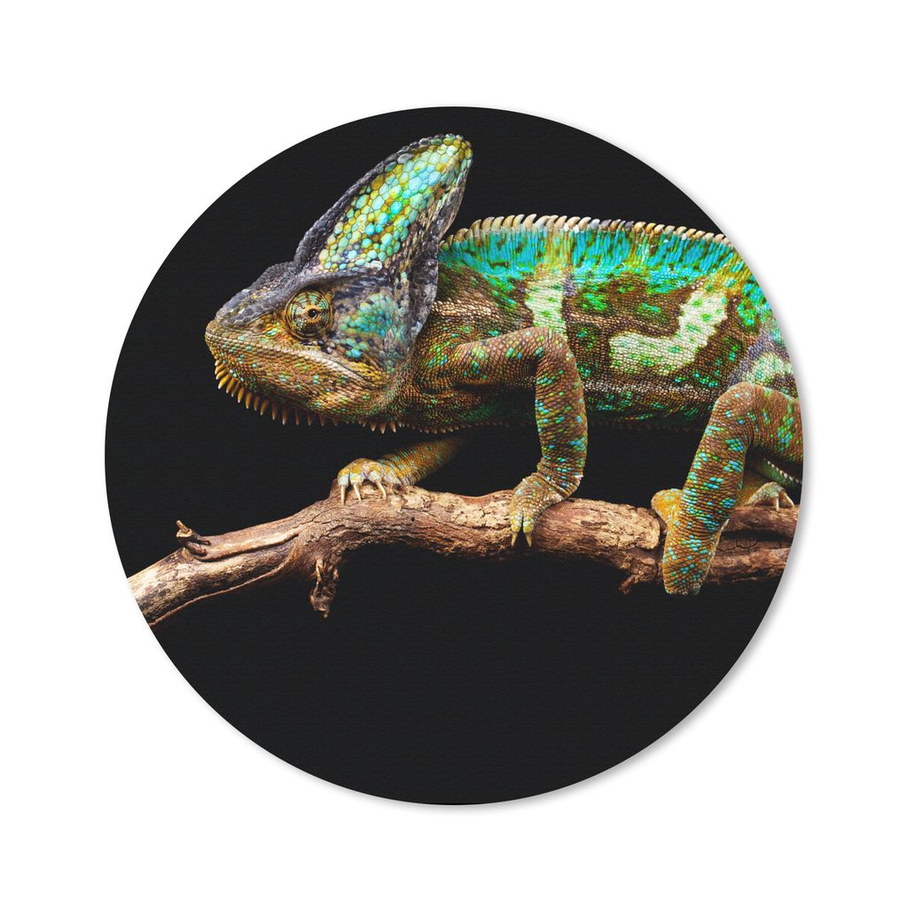 MuchoWow Mauspad Mousepad Chamäleon - Zweig - Grün 30x30 cm - Mousepads - Maus Mat - Pad - Mausunterlage - Tischunterlage - Schreibtischmatten