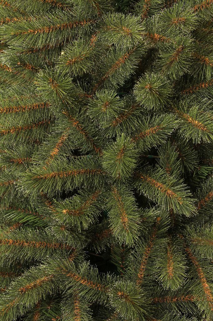 Triumph Tree Bristlecone Künstlicher Weihnachtsbaum - H185 Produktbild 3