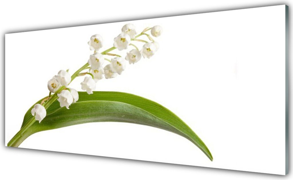 Küchenrückwand aus Glas 125x50cm Spritzschutz Blumen Pflanzen