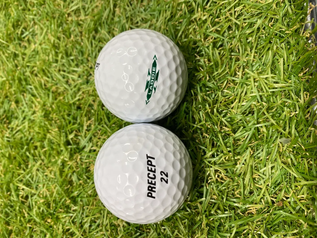 Ne Perdez plus de Budget : 50 Balles de Golf Precept Xtreme Qualité