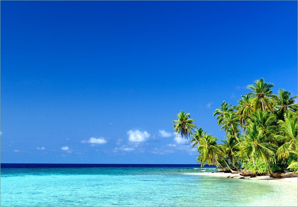 Wallario Fototapete Vliestapete, seidenmatte Oberfläche, einfache Verarbeitung, Größe 300 x 210 cm, Motiv Blauer Himmel weißer Strand Palmen un...