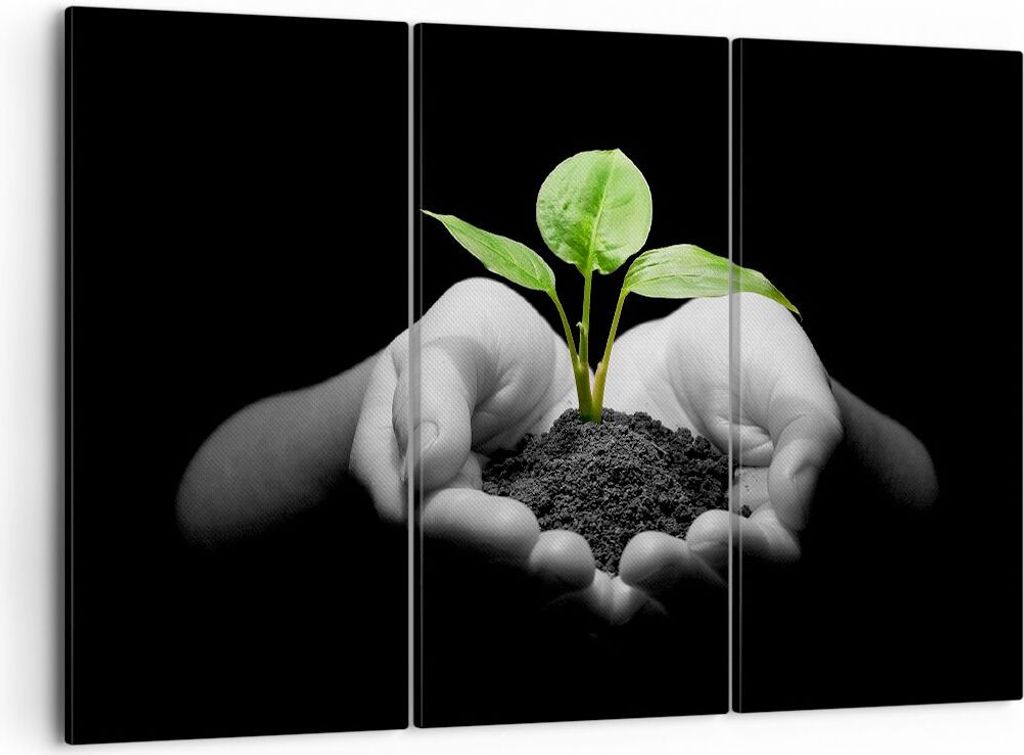 Bild auf Leinwand - Leinwandbild - Natur Pflanze Wissenschaft Schutz - 105x70cm - Wand Bild - Wanddeko - Leinwanddruck - Bilder - Kunstdruck - Lein...