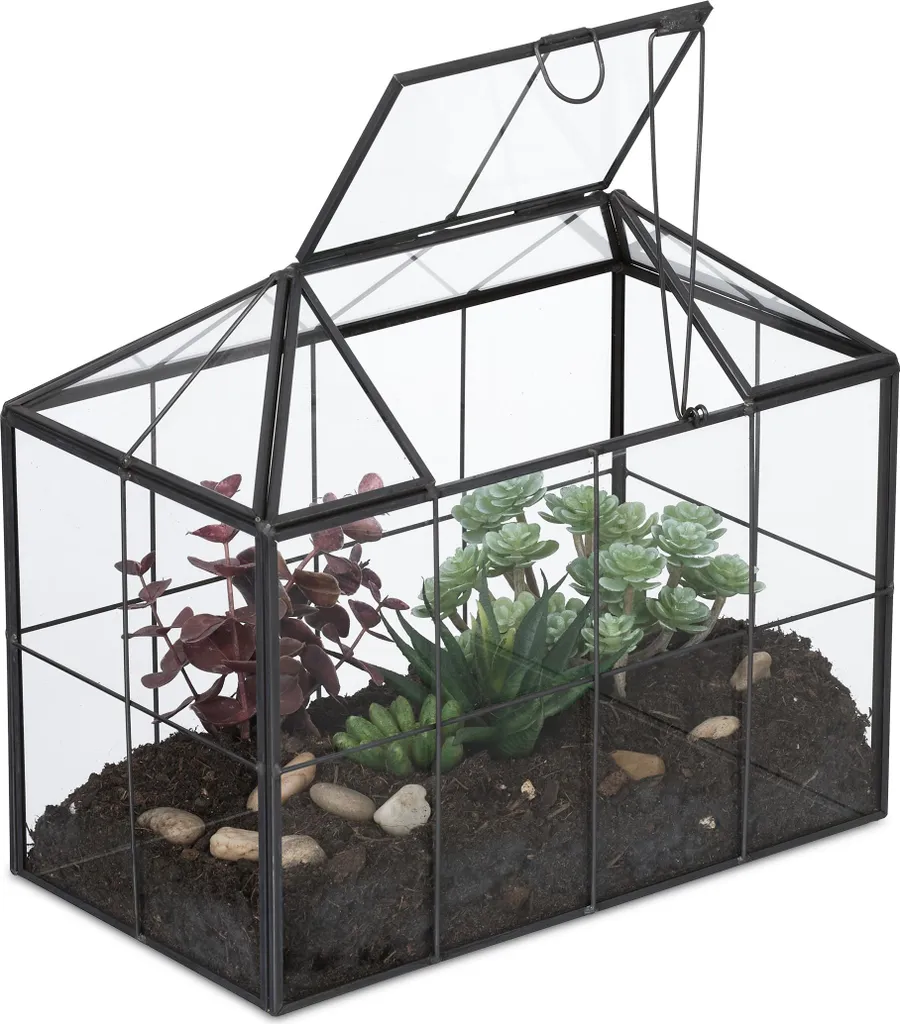 Terrarium pour plantes Relaxdays en verre design maison 15x20x12 cm
