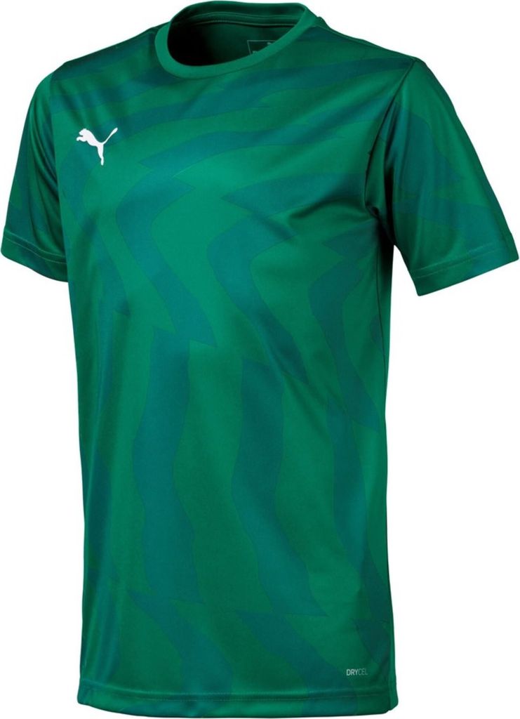 Puma Fußball Cup Trikot Core Fußballtrikot Matchtrikot Kinder dunkelgrün Gr 116