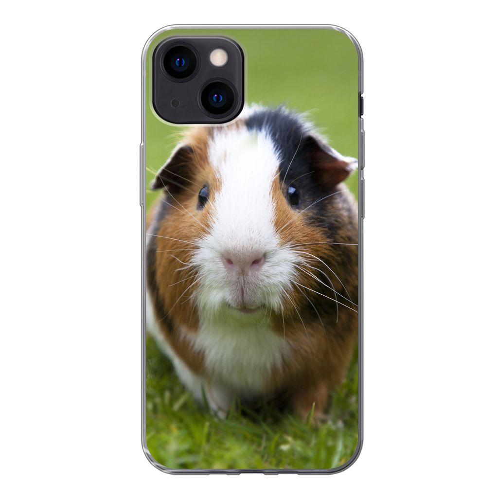 MuchoWow Handyhülle Schutzhülle Hülle für iPhone 13 Zwei Meerschweinchen Silikon Softcase Handy Hülle - Karteninhaber
