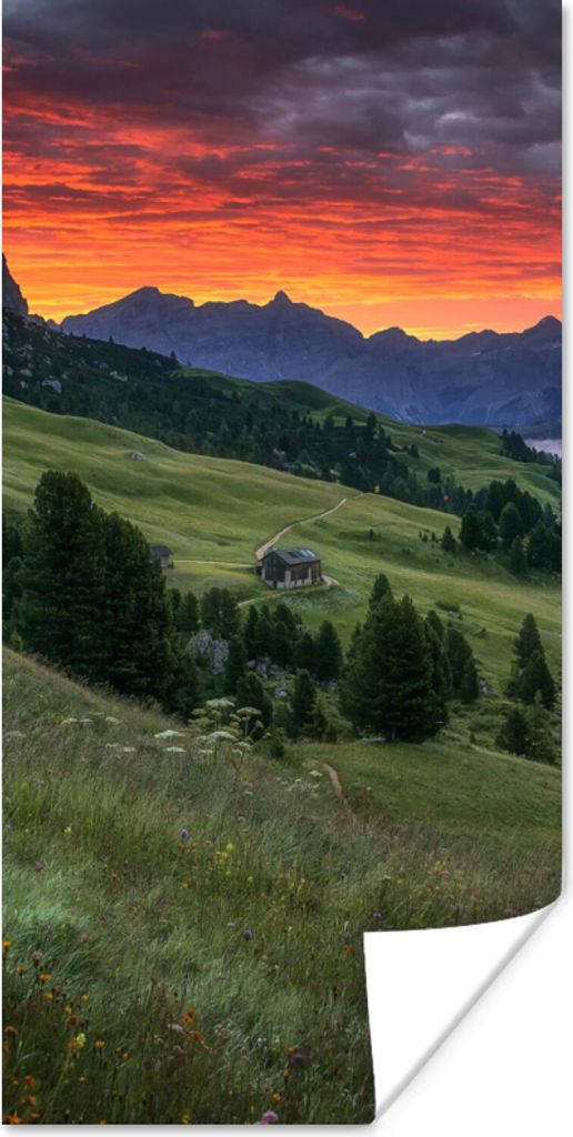 MuchoWow Poster Gras - Berge - Abend 80x160 cm - Kinderzimmer