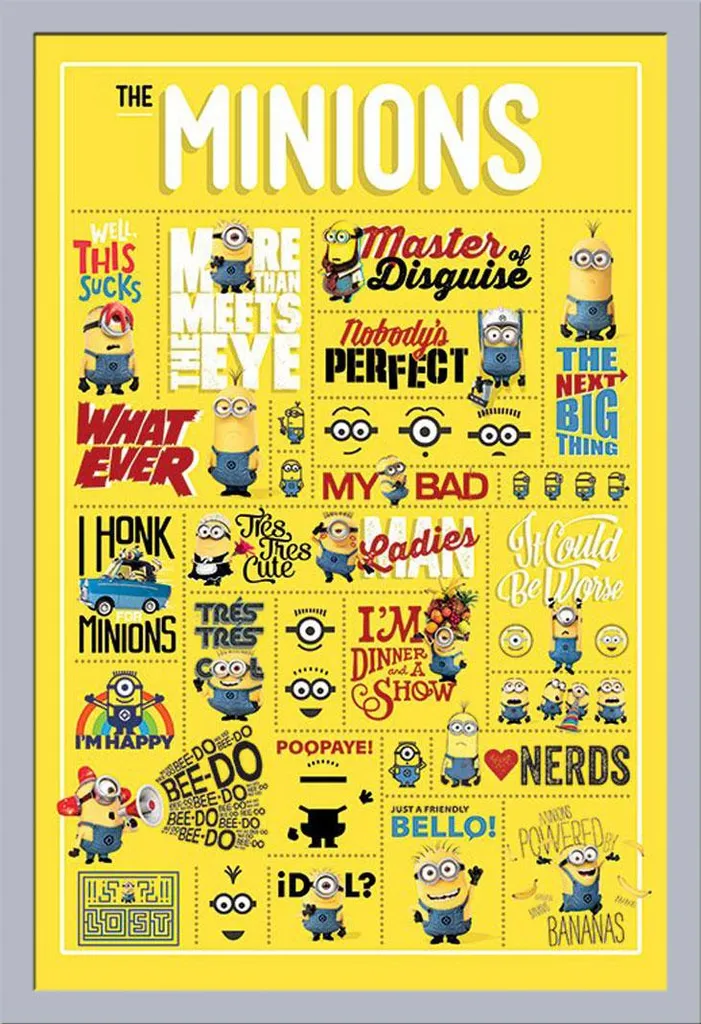 Poster Cattivissimo Me Infografica + Cornice Shinsuke MDF Argento