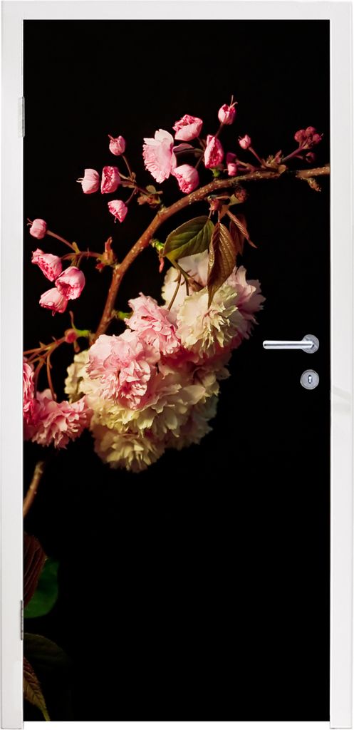 MuchoWow Türtapete Selbstklebende Türfolie Eine Kirschblüte vor schwarzem Hintergrund 75x205 cm Türposter Türaufkleber Klebefolie Türklebef...