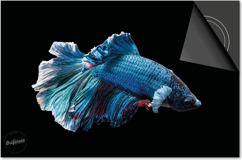 Induktionsschutz 90x52 - abdeckplatte Induktion matt- Dietrix Kochfeldschutz- Base - Under the Sea - Blaue Fisch