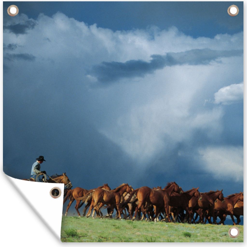 MuchoWow 50x50 cm Outdoor-Poster Gartendeko Sichtschutz Garten Poster für den Garten Pferde - Cowboy - Luft