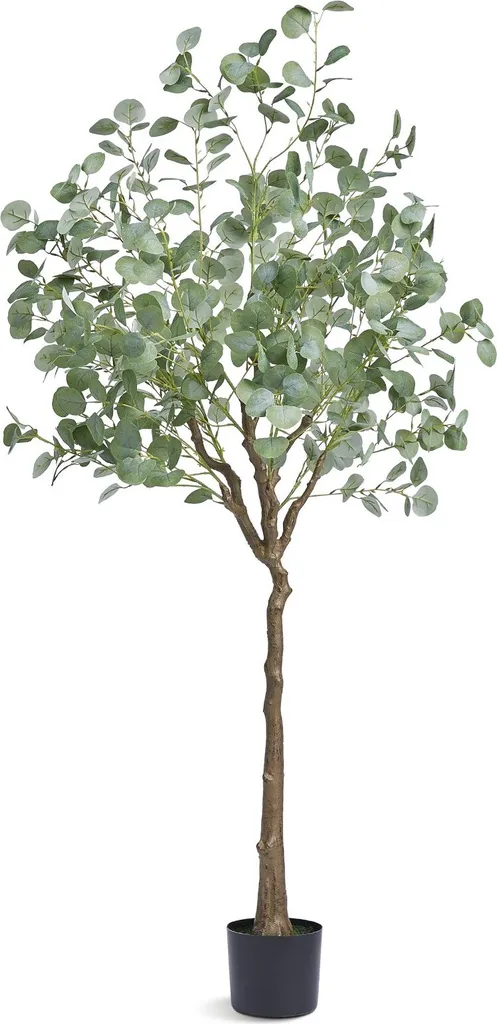 Pianta Artificiale Eucalipto 181cm Modern Decor | Design Real Touch