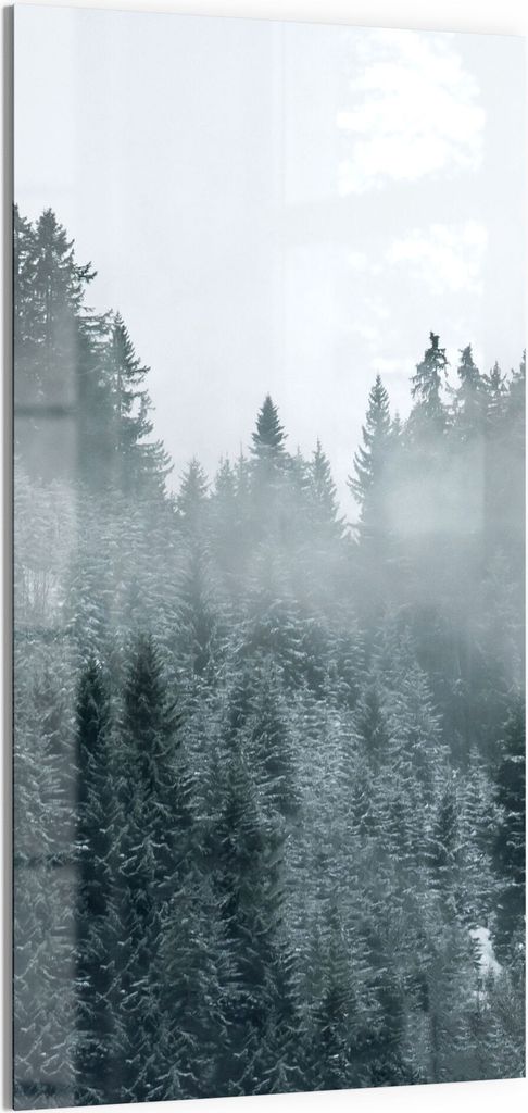 DEQORI Magnettafel Glas 50x100 cm 'Nebel über Baumwipfeln' beschreibbar Whiteboard