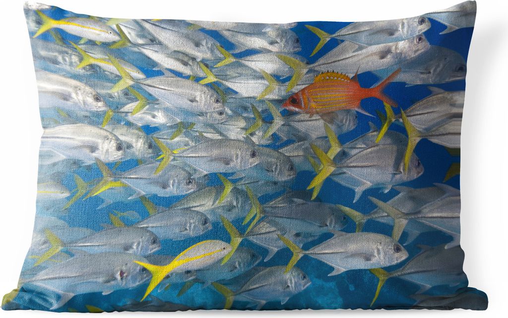 MuchoWow Outdoor Kissen - Fisch - Schule - Wasser - 60x40 cm - Wetterfest - Lounge Kissen - Kissenbezüge - Dekokissenbezug - Zierkissenbezüge
