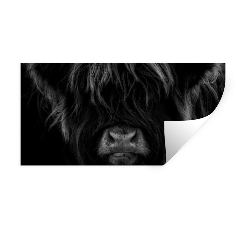 MuchoWow Wandtattoo Wandsticker Wandaufkleber Schottischer Highlander - Kuh - Schwarz - Weiß - Porträt 40x20 cm Selbstklebend und Repositionier...