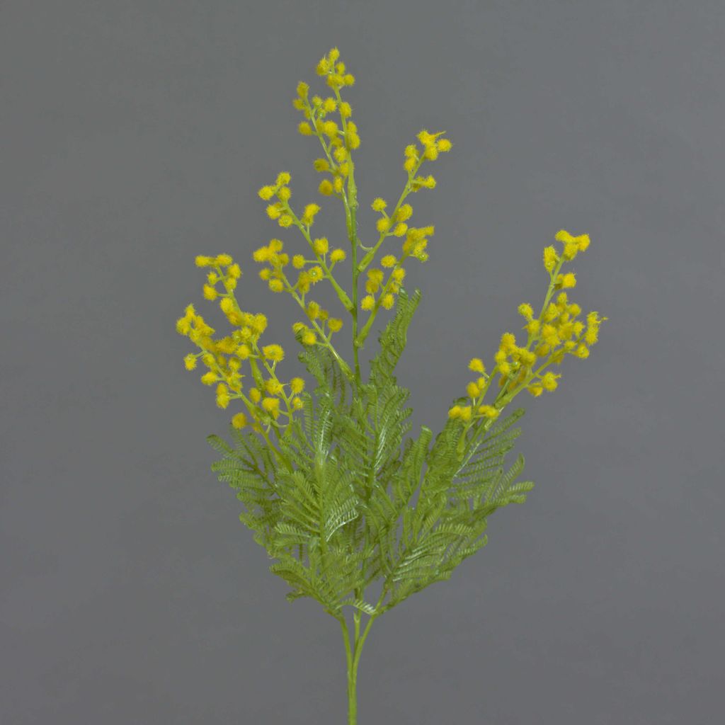 artplants.de Kunstzweig Mimose AQUILINA, gelb, 70cm - Kunst Akazien Zweig